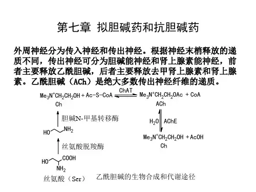 拟胆碱药和抗胆碱药PPT课件