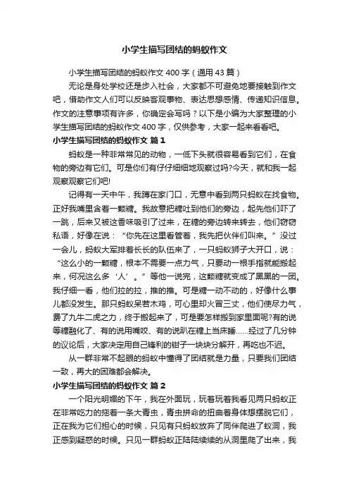 小学生描写团结的蚂蚁作文