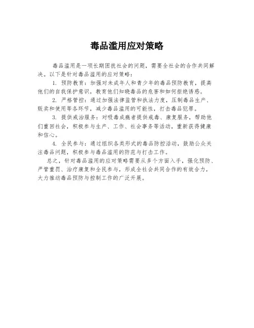 毒品滥用应对策略