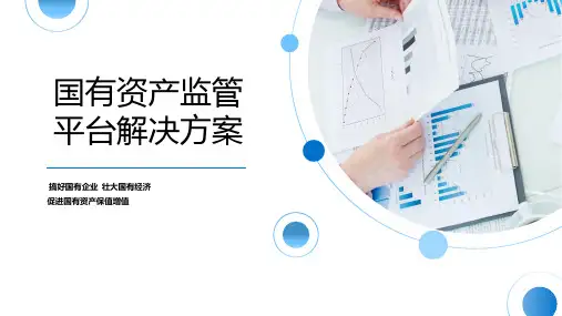 国资监管方案