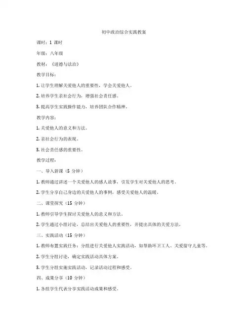 初中政治综合实践教案