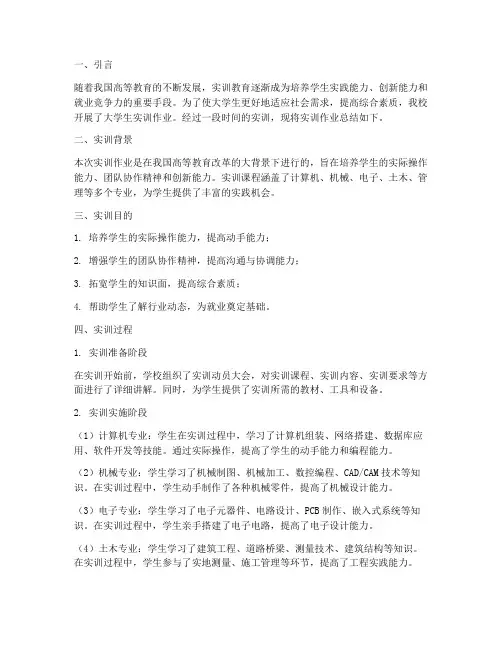 大学生实训作业总结报告