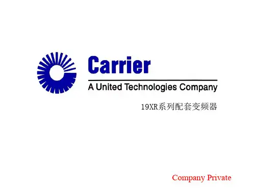 开利19XR系列配套变频器维修手册