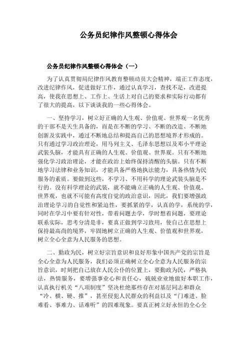 公务员纪律作风整顿心得体会