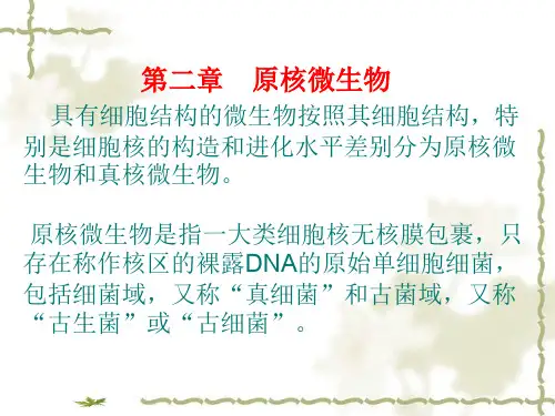 原核微生物1