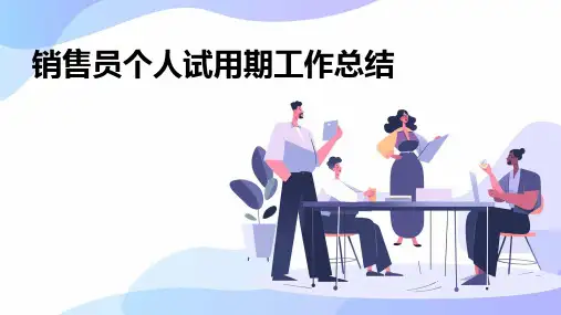 销售员个人试用期工作总结PPT