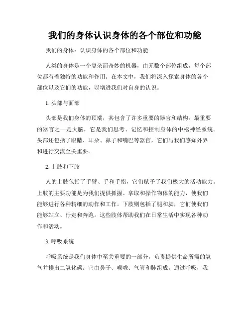 我们的身体认识身体的各个部位和功能
