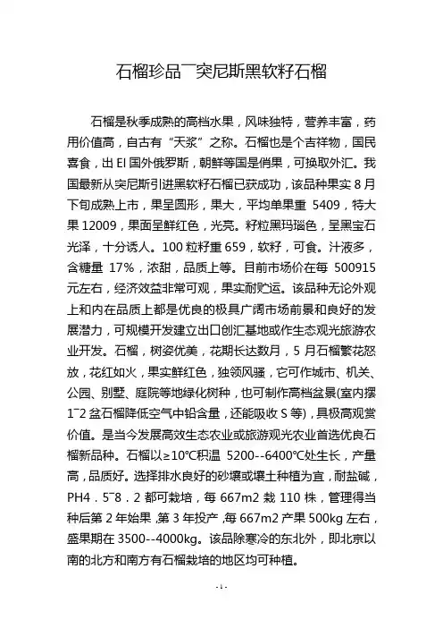 石榴珍品――突尼斯黑软籽石榴