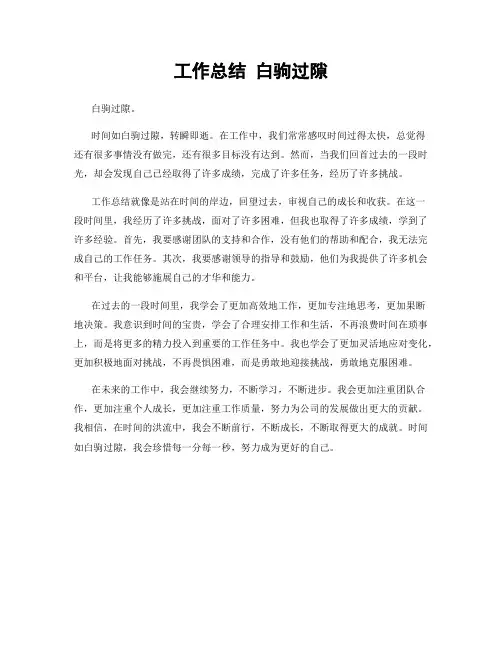 工作总结 白驹过隙