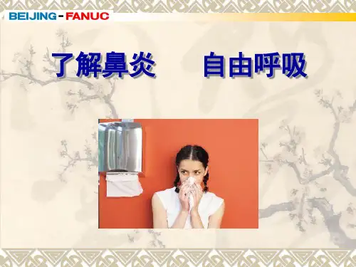 鼻炎鼻窦炎课件PPT