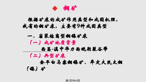 云南省铜铅锌银煤矿床主要成因类型及其特征精讲