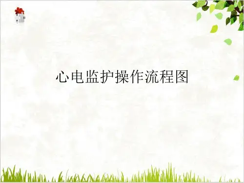 心电监护操作流程图PPT.