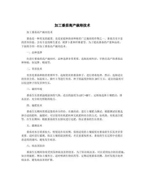 加工番茄高产栽培技术