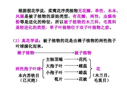 分类系统