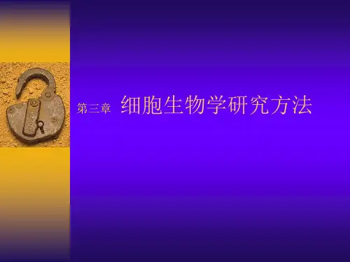 细胞生物学研究方法