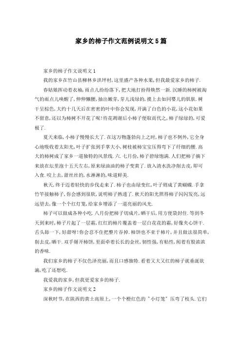 家乡的柿子作文范例说明文5篇