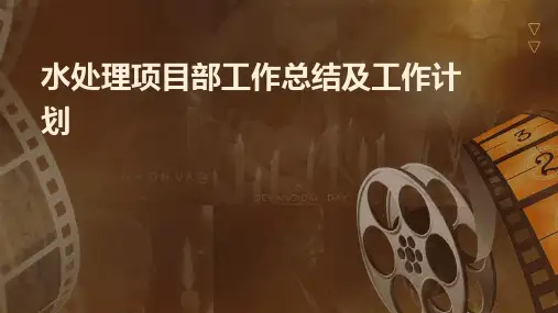 水处理项目部工作总结及工作计划PPT