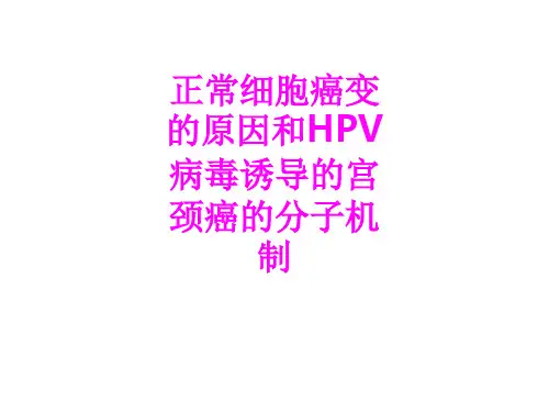 医学正常细胞癌变的原因和HPV病毒诱导的宫颈癌的分子机制PPT培训课件