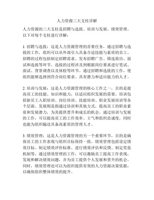 人力资源三大支柱详解