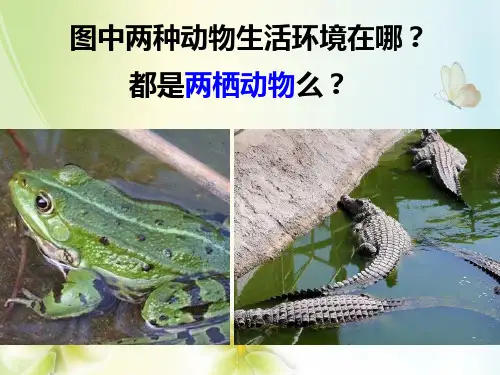 山东省泰安市东平县实验中学2020-2021学年八年级生物上册 1-5 两栖动物