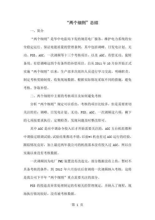 “两个细则”总结18页word文档