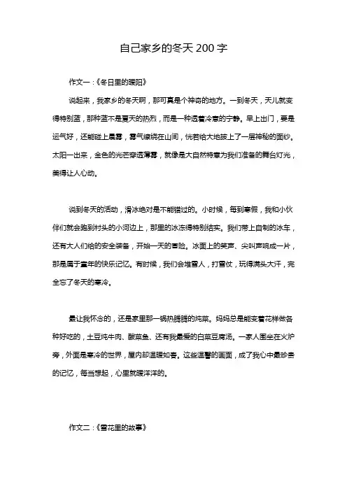 自己家乡的冬天200字