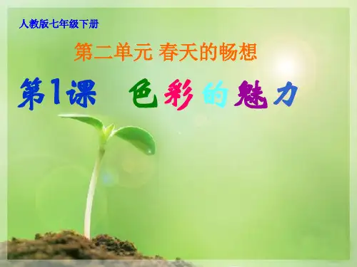 人教版七年级下学期美术-《色彩的魅力》PPT课件