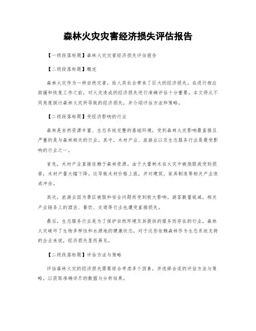 森林火灾灾害经济损失评估报告