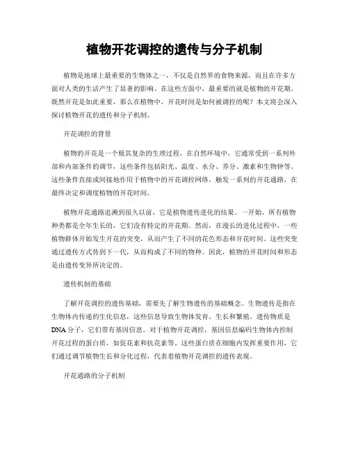 植物开花调控的遗传与分子机制
