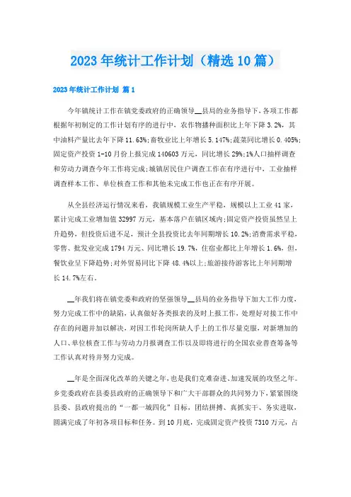 2023年统计工作计划(精选10篇)