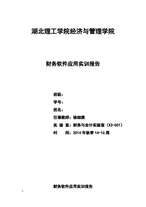 财务软件应用实训报告