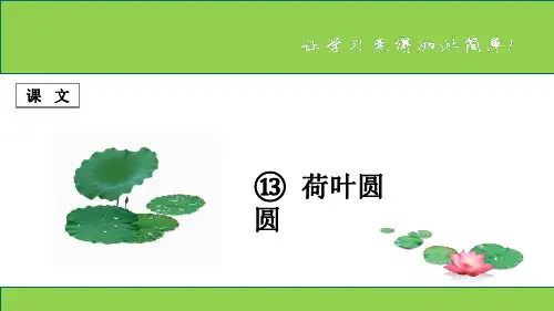 一年级语文课文 第13课 《荷叶圆圆》