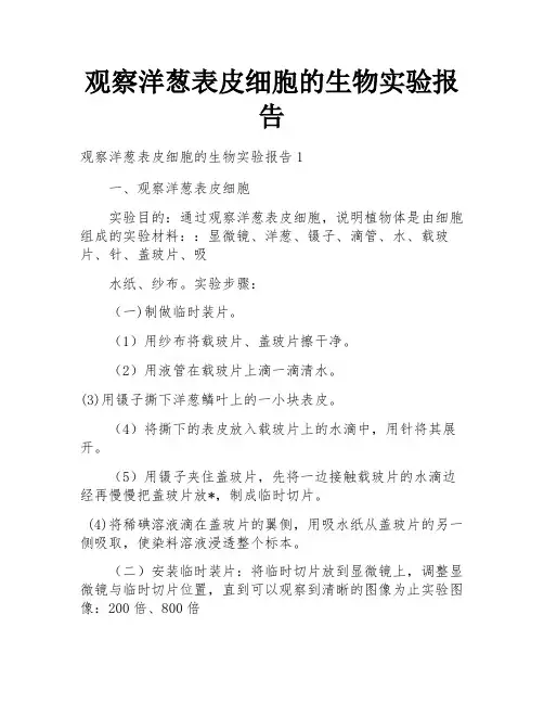 观察洋葱表皮细胞的生物实验报告