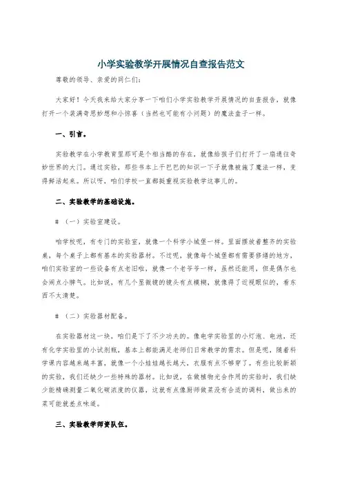 小学实验教学开展情况自查报告范文