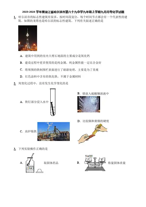 2023-2024学年黑龙江省哈尔滨市第六十九中学九年级上学期九月月考化学试题