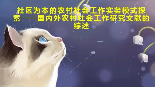 社区为本的农村社会工作实务模式探索国内外农村社会工作研究文献的综述