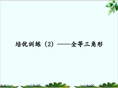 培优训练——全等三角形人教版八年级数学上册