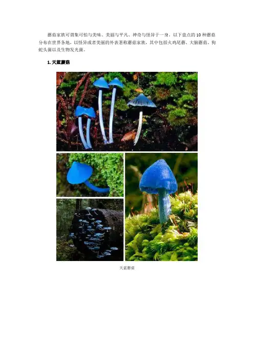 十大奇特蘑菇