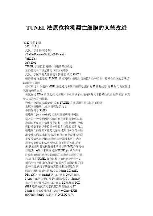 TUNEL法原位检测凋亡细胞的某些改进