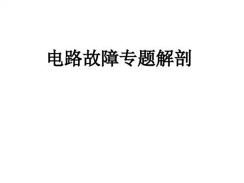 2022年中考物理复习 电路故障专题解剖