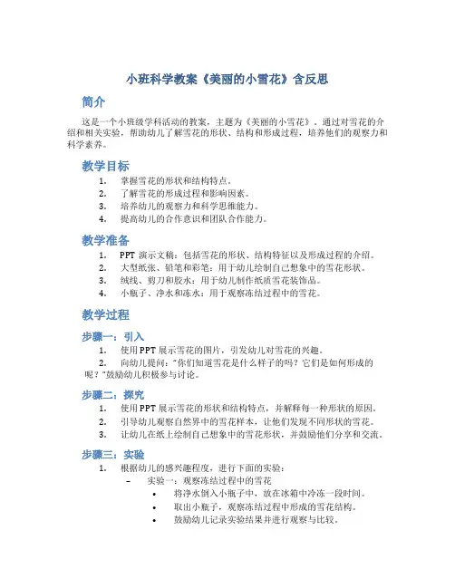 小班科学教案《美丽的小雪花》含反思