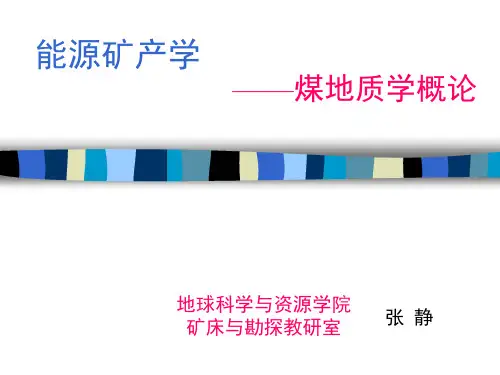 coal 2 煤的无机化学.ppt