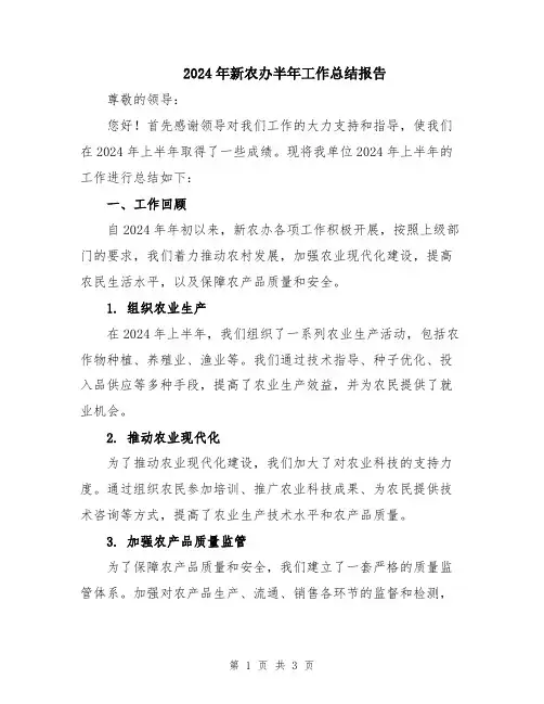2024年新农办半年工作总结报告