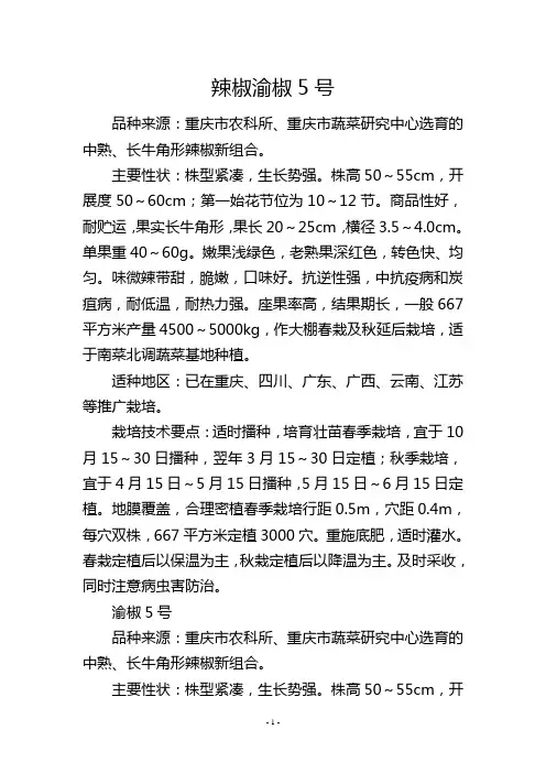 辣椒渝椒5号