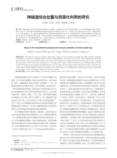 砷碱渣综合处置与资源化利用的研究