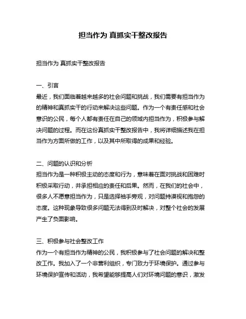 担当作为 真抓实干整改报告