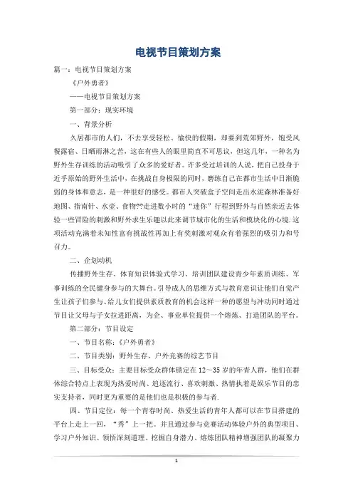 电视节目策划方案