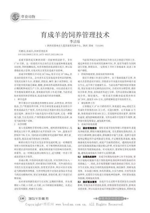 育成羊的饲养管理技术