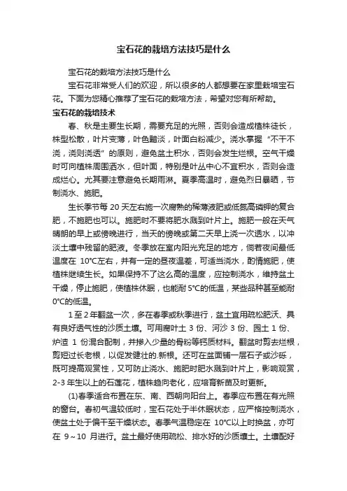 宝石花的栽培方法技巧是什么