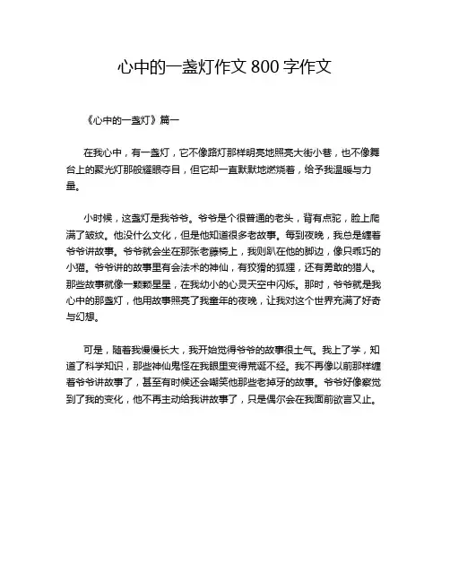 心中的一盏灯作文800字作文